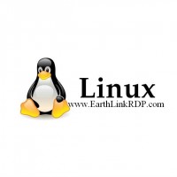 1 month Linux VPS