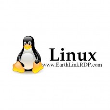 3 months Linux VPS